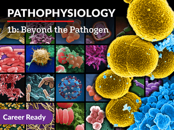 Pathophysiology 1b: Beyond the Pathogen - eLearning Academy